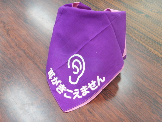 bandana2