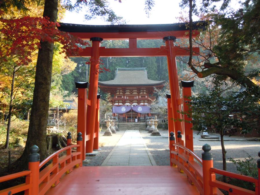 丹生都比売神社中の鳥居