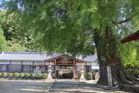 niusakadono