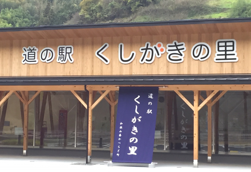 安心のかつらぎ町の柿 - 9