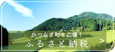 かつらぎ町を応援！ふるさと納税