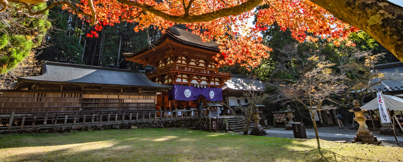 世界遺産丹生都比売神社