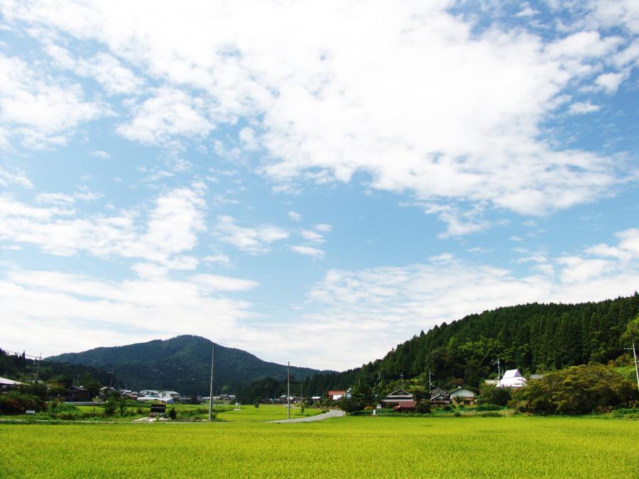 天野風景