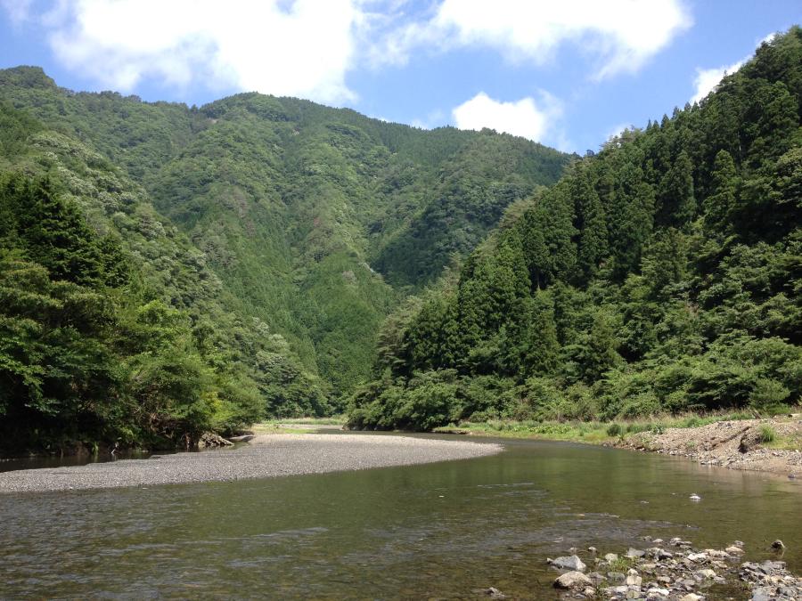 花園風景