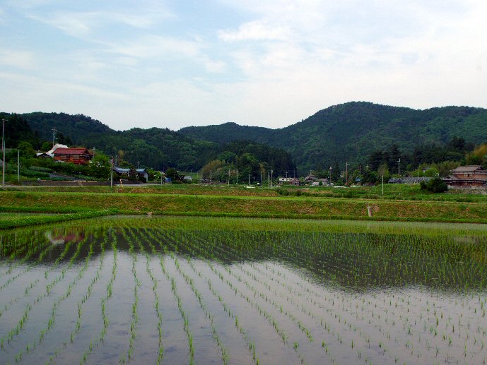 天野地域風景