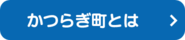 かつらぎ町とは